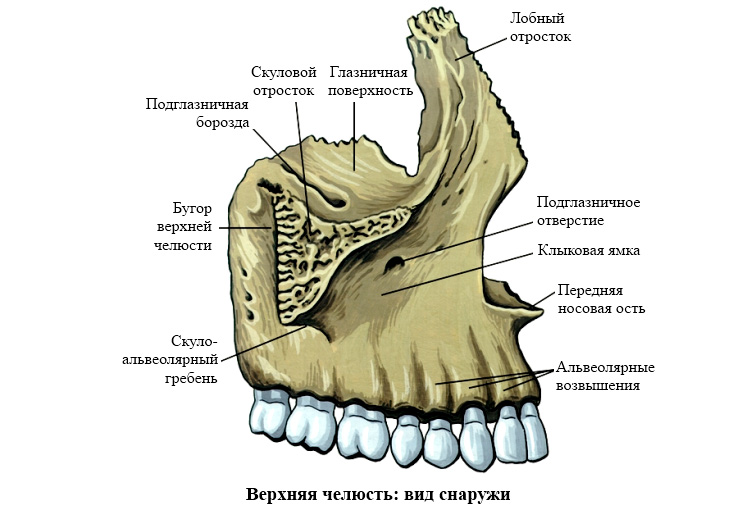 Como curar el crujido de mandibula